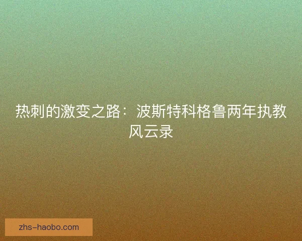 热刺的激变之路：波斯特科格鲁两年执教风云录